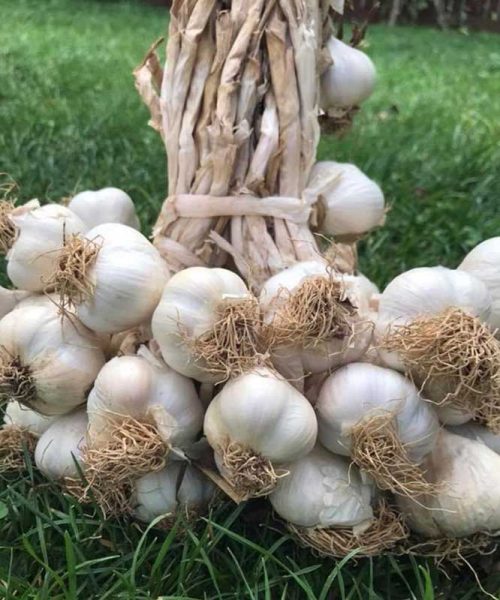 high-efficiency-wool-pellets-for-farms