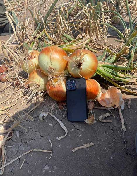 organic-crop-support-system