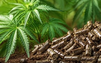 Organic fertilizer for cannabis: Why growers are switching to wool pellets
