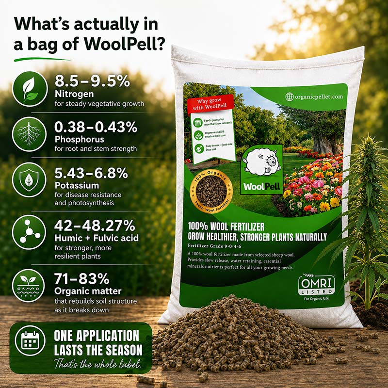 Living soil for hemp