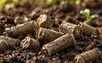 Sheep Wool Pellets & Soil Moisture: University of Galway Study
